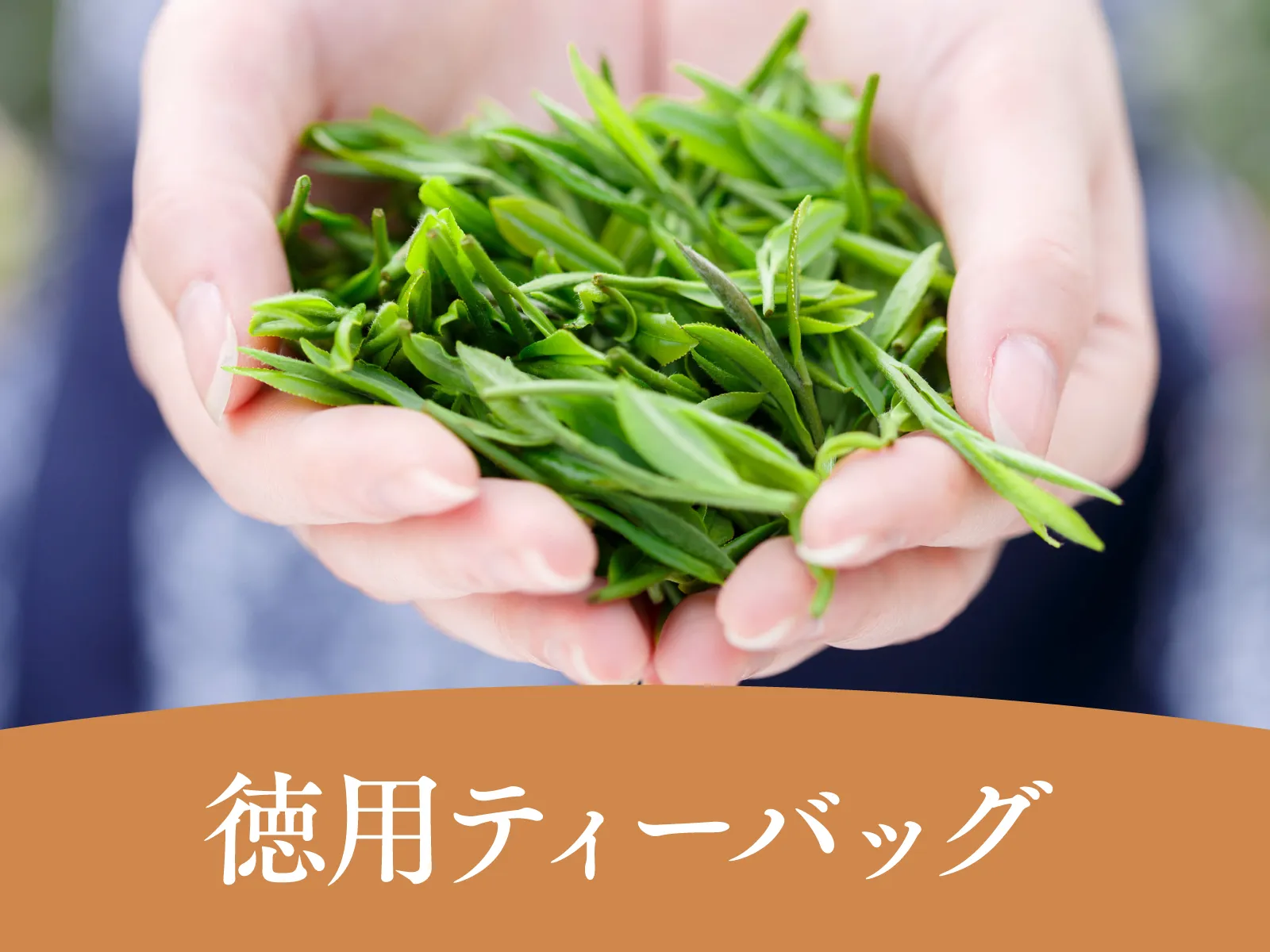 徳用ティーバッグ